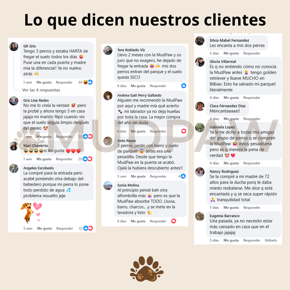 MudPaw: Alfombra secapatas (chenilla de microfibra ultra absorbente)