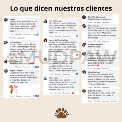 MudPaw: Alfombra secapatas (chenilla de microfibra ultra absorbente)